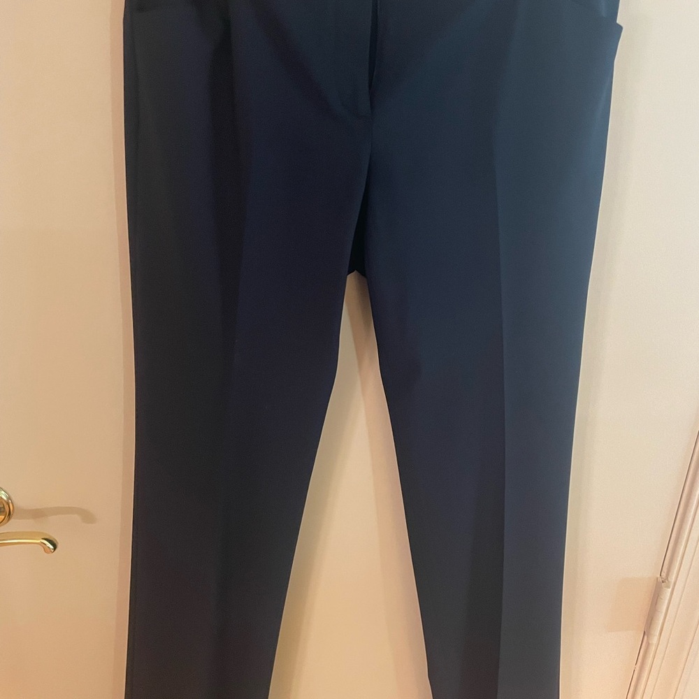 Theory Women’s Navy Blue Pants